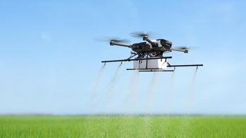 En Chubut fumigan con drones para intentar combatir a la tucura sapo. (Foto ilustrativa). En Chubut fumigan con drones para intentar combatir a la tucura sapo. (Foto ilustrativa).