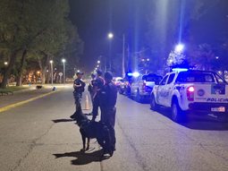 Durante el procedimiento, uno de los conductores resultó positivo de alcoholemia con 2,02 g/l. Durante el procedimiento, uno de los conductores resultó positivo de alcoholemia con 2,02 g/l.