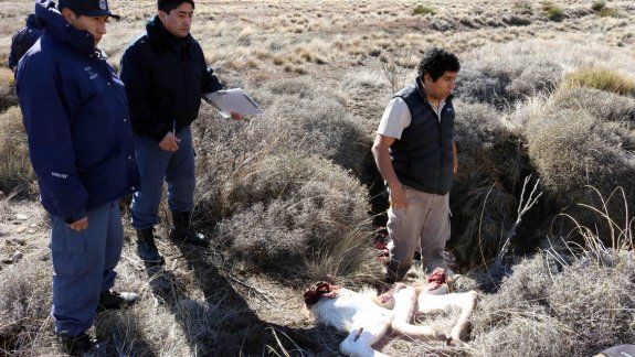 Los elementos secuestrados por la Policía rural en Junín de los Andes.