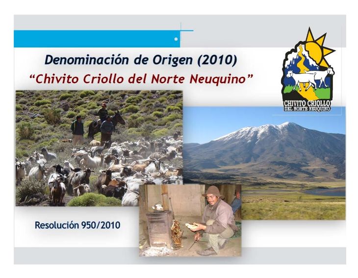 Productos IG/DO pueden ser artesanales e industriales. El saber hacer se mantiene, pero la tecnología utilizada puede variar. Gráfico: utn.edu.ar Productos IG/DO pueden ser artesanales e industriales. El saber hacer se mantiene, pero la tecnología utilizada puede variar. Gráfico: utn.edu.ar