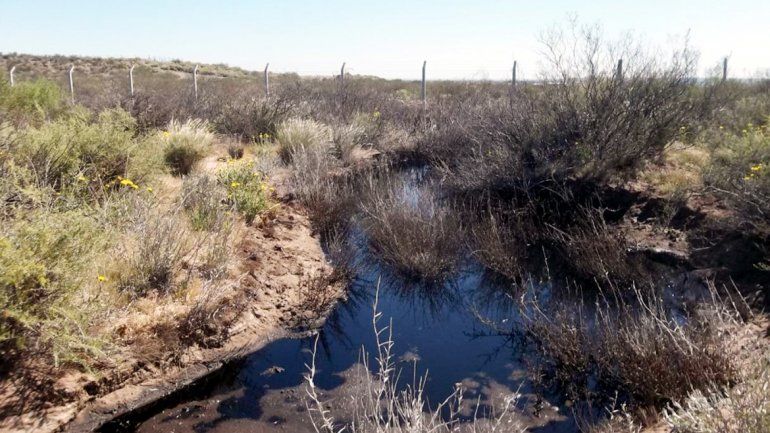 Los desechos industriales formaron lagunas en el predio.