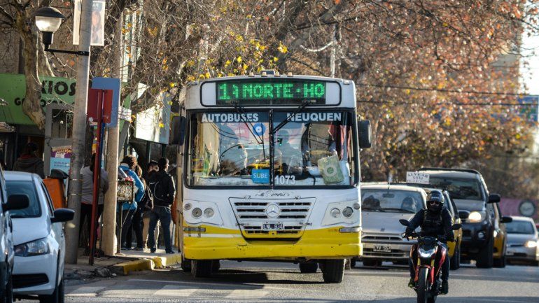 Gamarra propone anular el contrato con Autobuses Neuquén