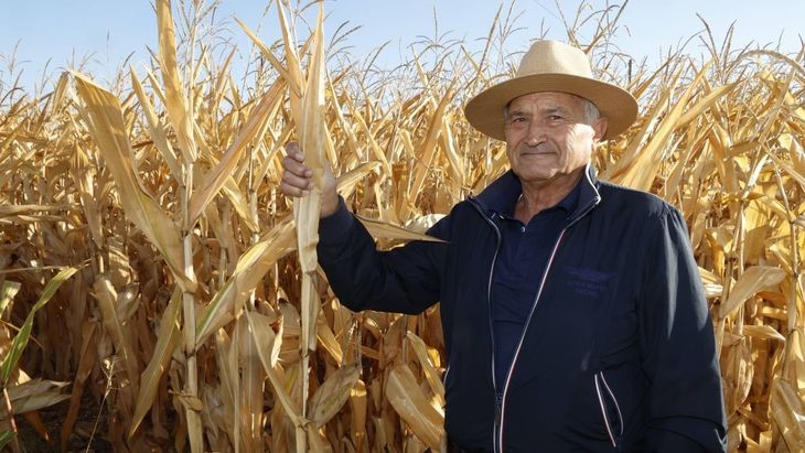 Mientras crece el n&uacute;mero de jubilados que vuelven a trabajar, empresas y especialistas revisan qu&eacute; exige la ley en cada caso.