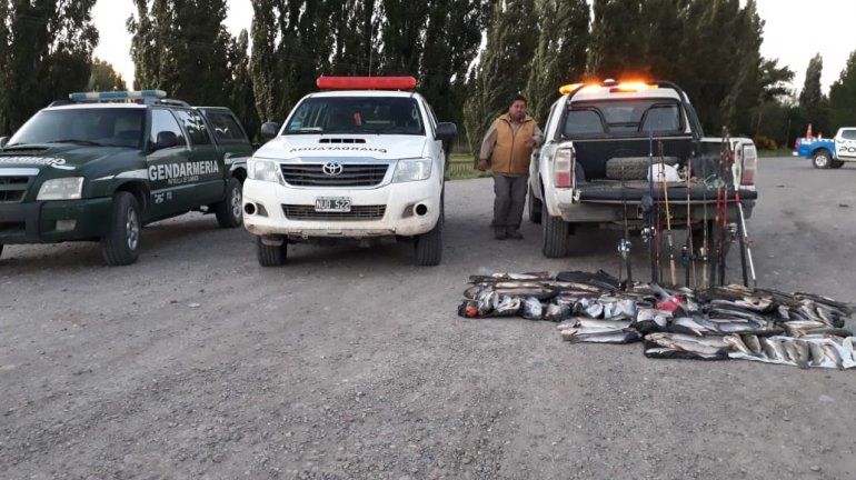 Picún Leufú: secuestraron 150 truchas por pesca ilegal