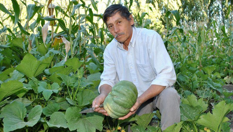 Apostar a la producción agrícola como forma de vida