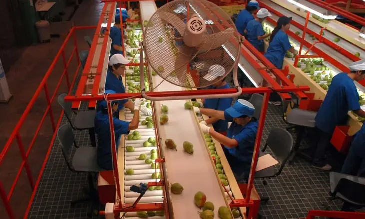 El sector advierte que la falta de reintegros y devoluciones de IVA generó un fuerte bache financiero y obliga a empresas a financiarse en bancos para seguir operando. El sector advierte que la falta de reintegros y devoluciones de IVA generó un fuerte bache financiero y obliga a empresas a financiarse en bancos para seguir operando.