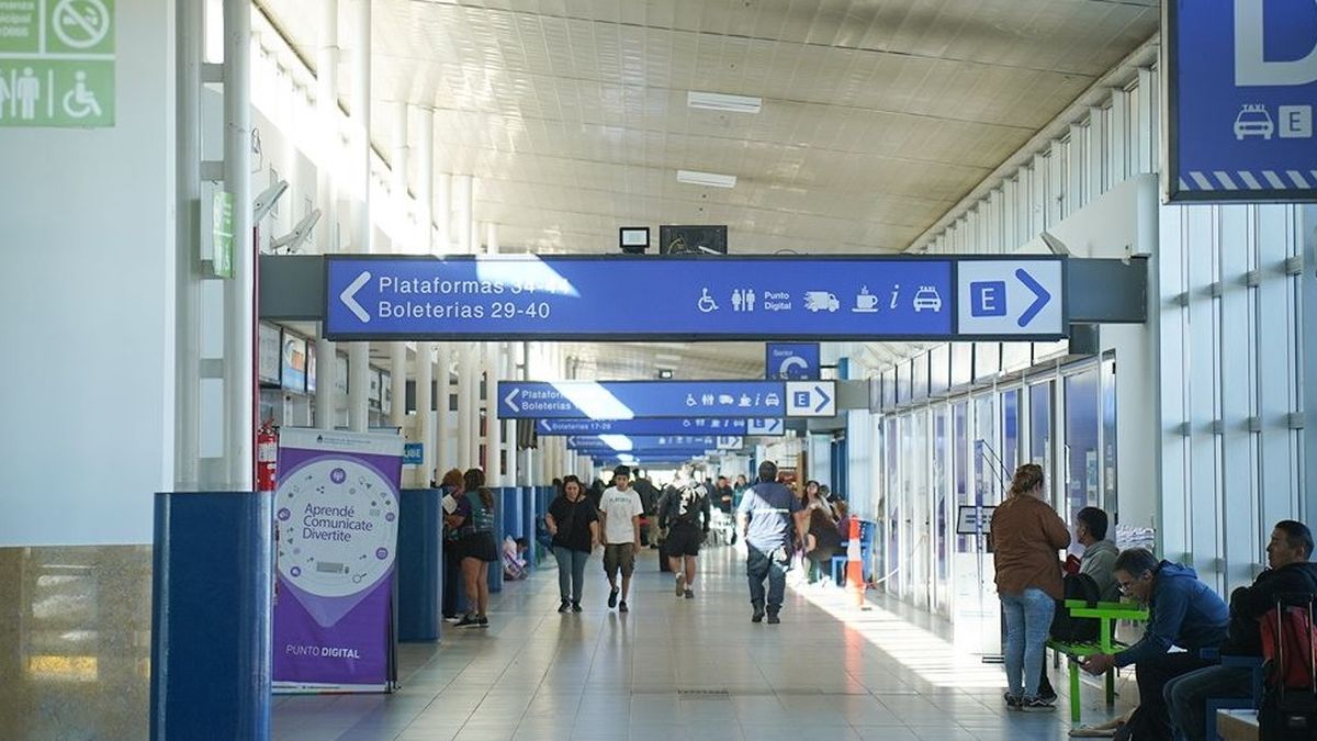 ¿Conocían el lugar? Rompieron una pared y robaron encomiendas en la Terminal de Neuquén