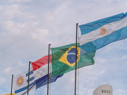 Argentina es el único país con apoyo neto negativo y el de mayor incidencia de las distorsiones de precios.
