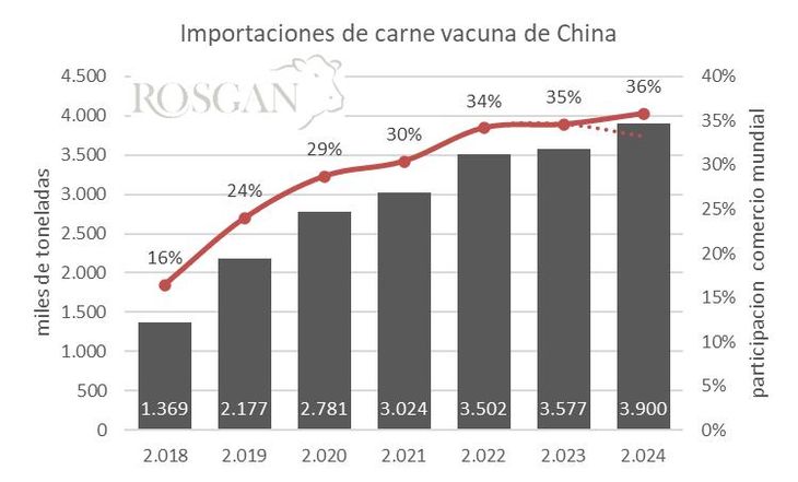 Evolución de las importaciones de carne vacuna de China y su participación en el comercio mundial, en base a datos del USDA/FAS a julio de 2024. Evolución de las importaciones de carne vacuna de China y su participación en el comercio mundial, en base a datos del USDA/FAS a julio de 2024.