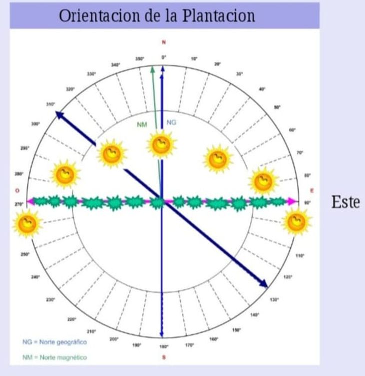 La línea doble fecha indica la orientación en Cipolletti. La línea doble fecha indica la orientación en Cipolletti.