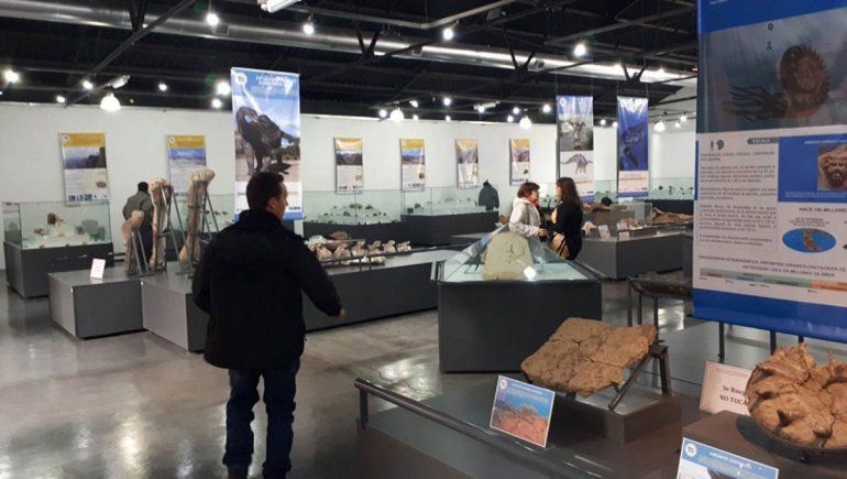 Zapala busca posicionar al Museo Olsacher