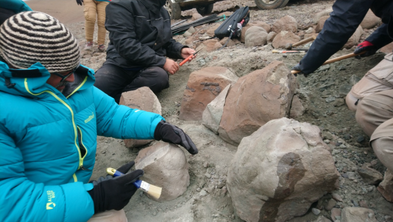 La expedición en una estancia ubicada 30 kilómetros al sur de El Calafate