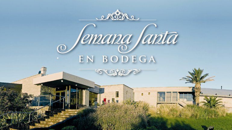 Descubrí el fabuloso mundo del vino en la Bodega Familia Schroeder.&nbsp;