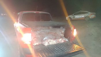 La policía decomisó 30 costillares en Rio Colorado La policía decomisó 30 costillares en Rio Colorado