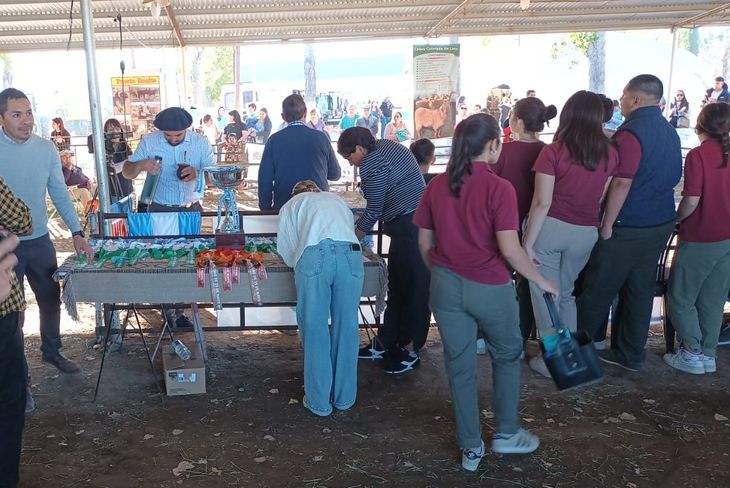 Entre premiaciones y mates, la feria fue muy concurrida. Foto: gentileza Matías Martino. Entre premiaciones y mates, la feria fue muy concurrida. Foto: gentileza Matías Martino.