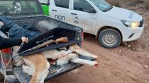 Detectaron caza y pesca furtiva en la provincia.