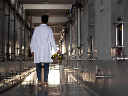 Vino a Granel, un negocio que mueve grandes volúmenes. Vino a Granel, un negocio que mueve grandes volúmenes.