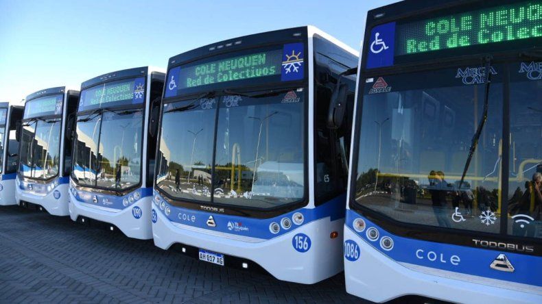 Nuevos colectivos eléctricos en Neuquén: sumarán dos líneas con recorridos para el turismo