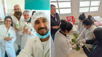 Científicos tucumanos crearon un repelente contra el dengue.jpg