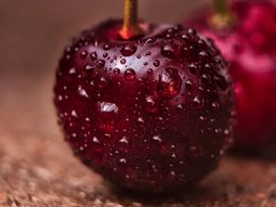 Con costos estables y retornos más bajos, la cereza chilena enfrenta su segundo año consecutivo de resultados negativos. Con costos estables y retornos más bajos, la cereza chilena enfrenta su segundo año consecutivo de resultados negativos.