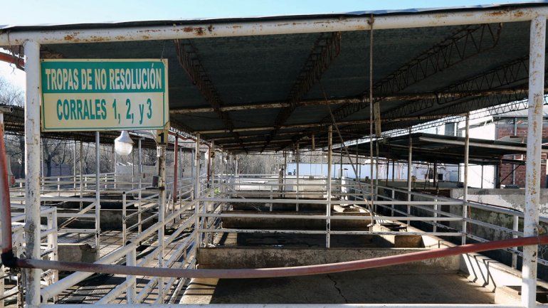 Los trabajadores hicieron volanteadas en el puente. Cada vez se faena menos.
