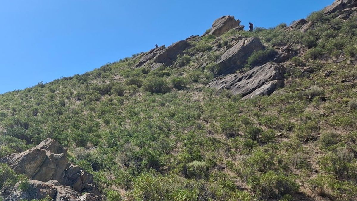 El lugar donde encontraron el cuerpo.