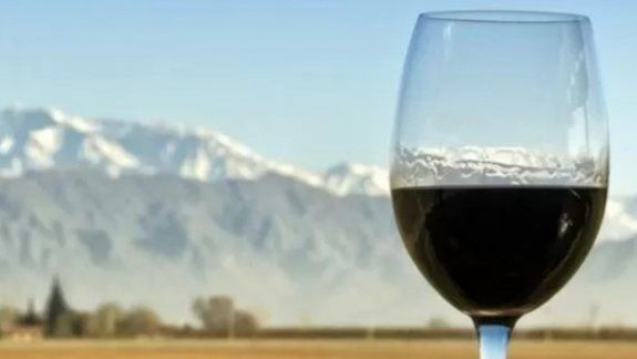 Patagonia: ¿denominativo regional o marca Privada?