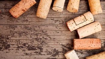 por que usar corchos en tus plantas: el truco ecologico que transforma tu jardin por que usar corchos en tus plantas: el truco ecologico que transforma tu jardin