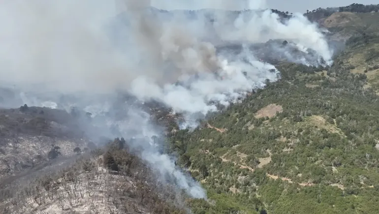 El incendio en el Parque Nacional Lanín se complicó por los vientos