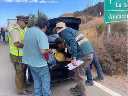 Chile reforzará los controles en frontera para que no ingrese fruta y carne en forma irregular. Chile reforzará los controles en frontera para que no ingrese fruta y carne en forma irregular.