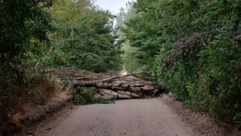 Fue una jornada de intenso trabajo para los bomberos de Centenario.&nbsp;