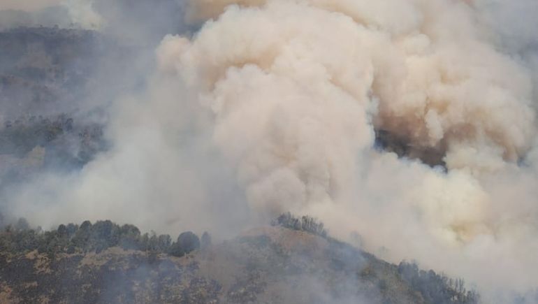 El incendio en el Parque Nacional Lanin está afectando a miles de hectáreas / Foto Parques Nacionales