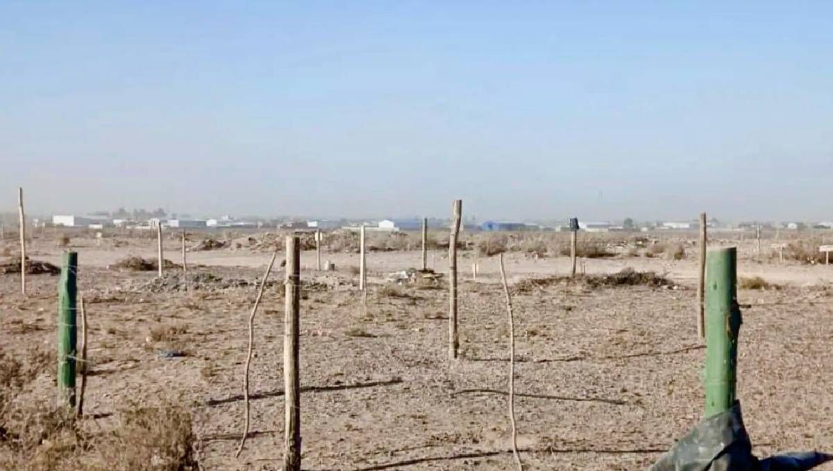 Solo el 30% de los lotes entregados en el sector El Triángulo cumplía con los requisitos, según la Municipalidad de Centenario.