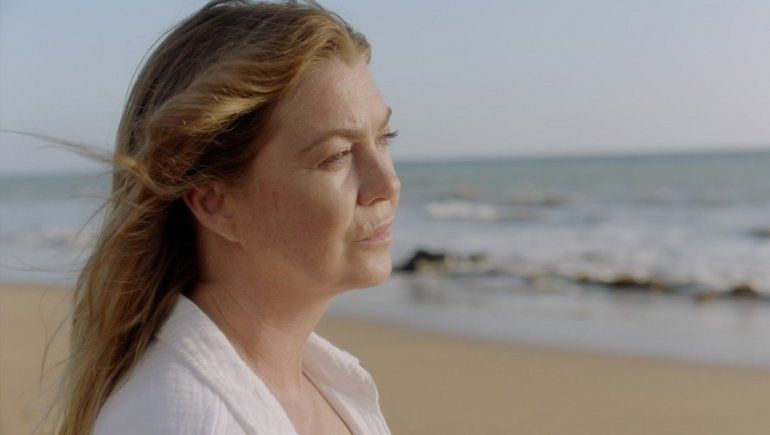 Temporada 17 de Greys Anatomy llegaría a Netflix este año