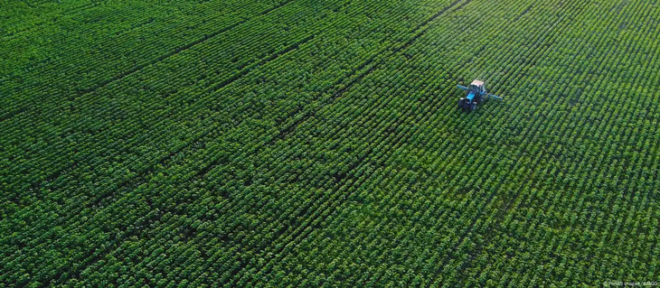 Los investigadores de Göttingen y Edimburgo analizaron la autosuficiencia alimentaria de 186 países en siete grupos de alimentos esenciales. Los investigadores de Göttingen y Edimburgo analizaron la autosuficiencia alimentaria de 186 países en siete grupos de alimentos esenciales.