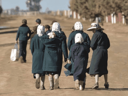 La tierra, la agricultura y el trabajo son pilares fundamentales de su identidad.  La tierra, la agricultura y el trabajo son pilares fundamentales de su identidad.