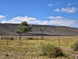 La falta de pasto en gran parte de los campos de Neuquén, se hace sentir.