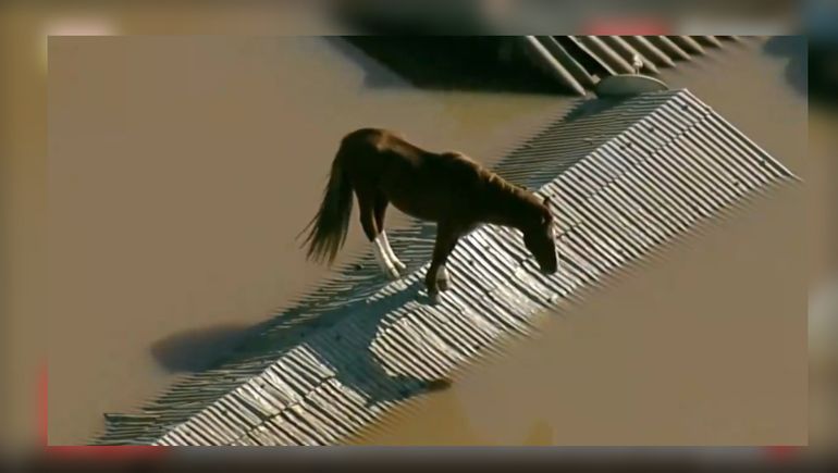 Las inundaciones en Brasil son devastadoras Las inundaciones en Brasil son devastadoras