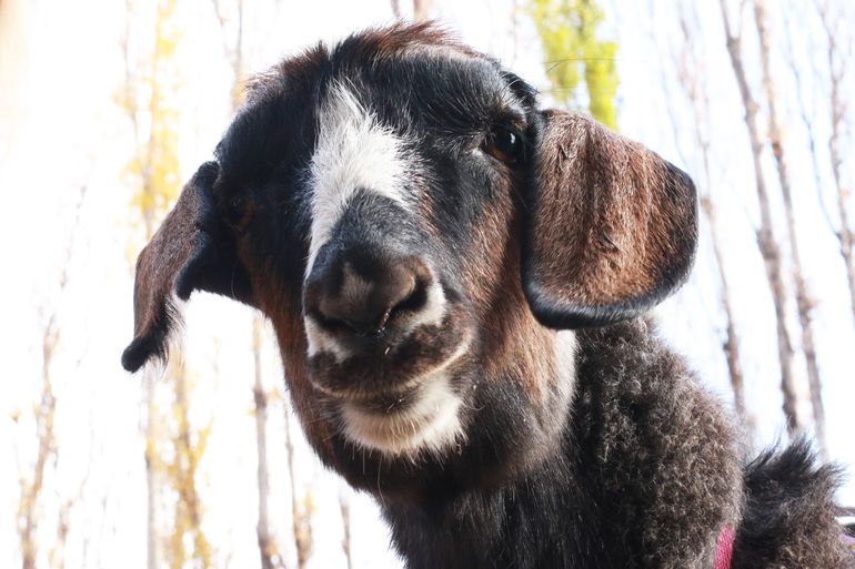 Gentileza @lidereseventosnqn