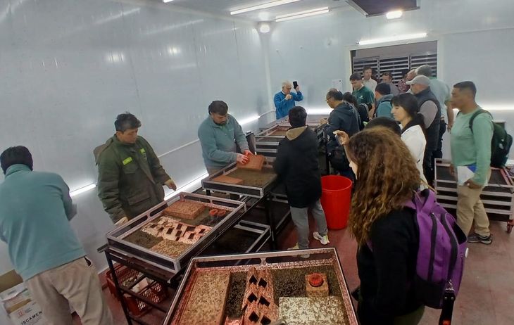 Recorrida técnica en Allen, Río Negro. Expertos internacionales observan la logística del 