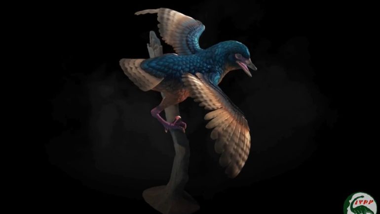 Reconstrucción 3D de Baminornis zhenghensis