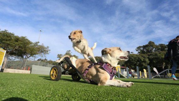 Inauguraron el primer parque de mascotas del país