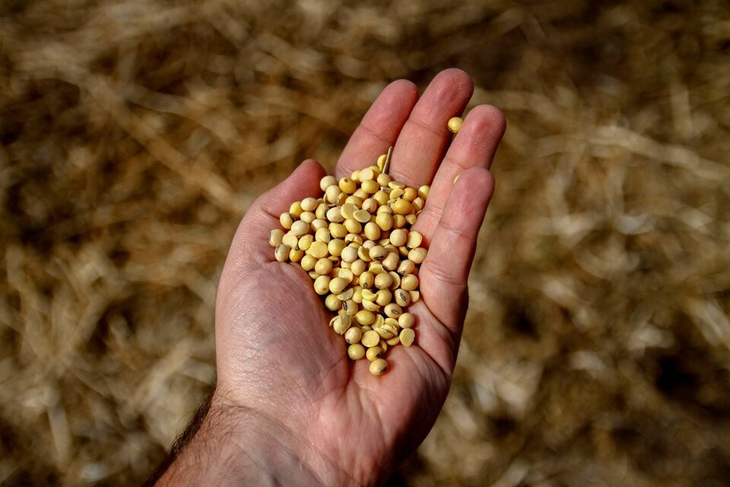 Latinoamérica vende materias primas a China. Latinoamérica vende materias primas a China. 