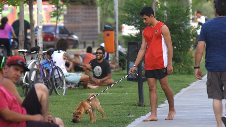 No todos los neuquinos son responsables con la tenencia de mascotas en los lugares públicos.