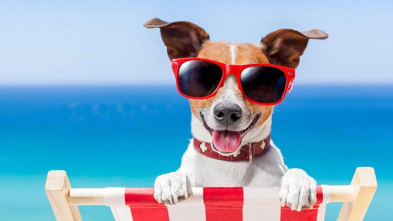 ¡Todo listo para que sea un día de playa!