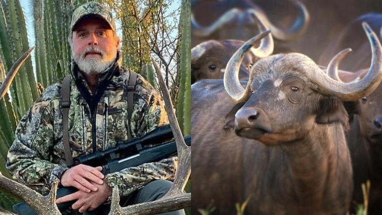 Tragedia en un safari de caza: un millonario estadounidense murió atacado por un búfalo.