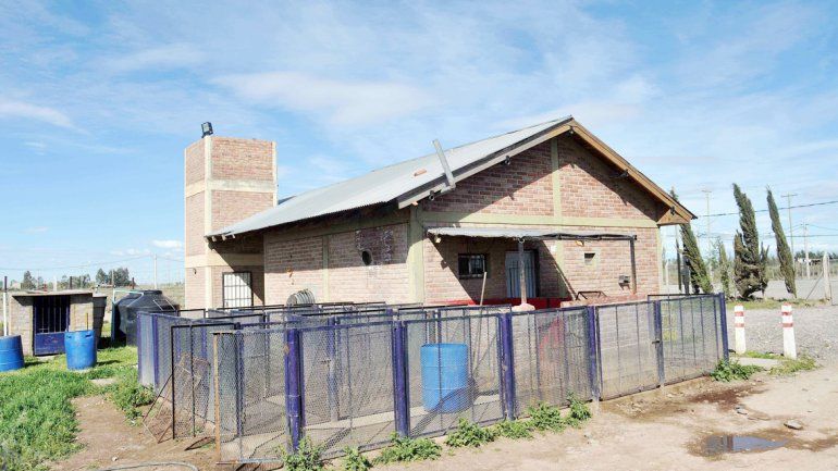 El matadero de Colonia Nueva Esperanza triplicará la faena.&nbsp;