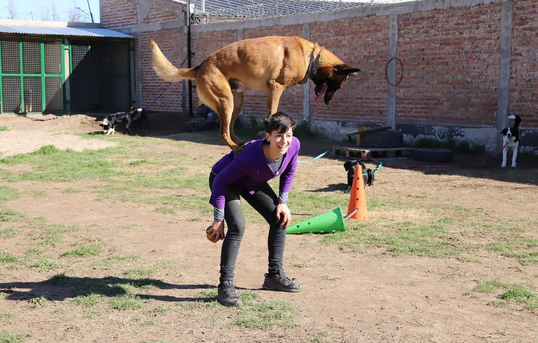 Se cansó de la abogacía y ahora se dedica a educar perros en el barrio Confluencia