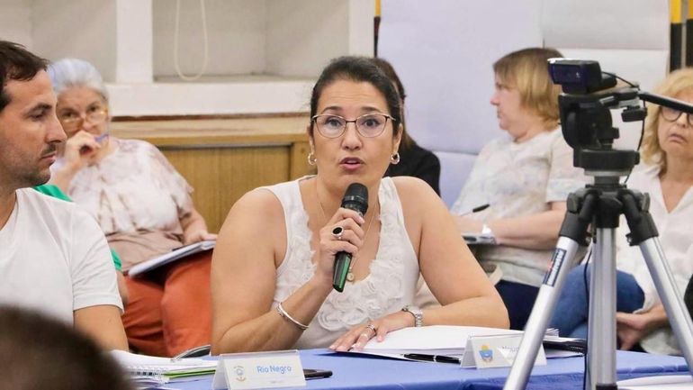 La presidenta del Consejo Provincial de Educación del Neuquén, Glenda Temi. La presidenta del Consejo Provincial de Educación del Neuquén, Glenda Temi.