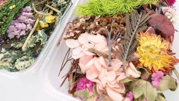 Además de ser decorativas, las flores secas tienen un uso para mantener la higiene y salud del hogar. | LM Neuquen Además de ser decorativas, las flores secas tienen un uso para mantener la higiene y salud del hogar.